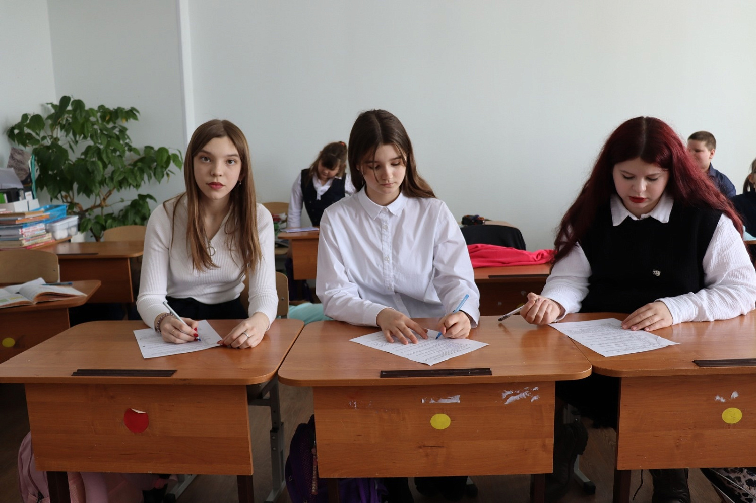 Анкетирование к гранту